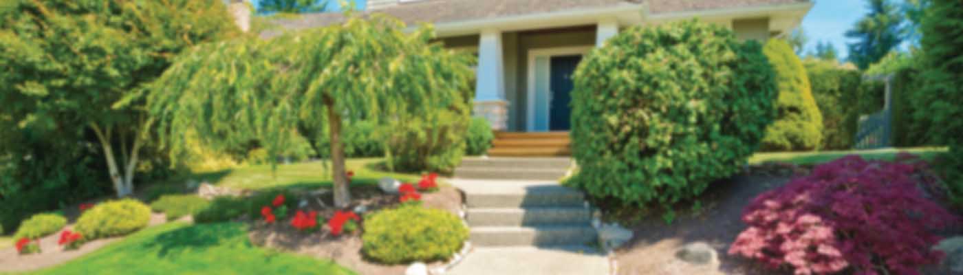 Front of a home with a walkway and garden